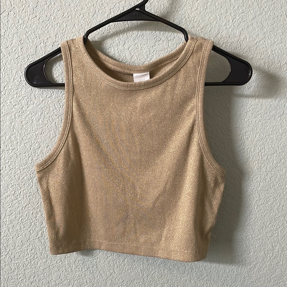 Gold Sleeveless Crop Top
